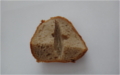 Pokus s chlebem levá polovina mokrá pravá suchá